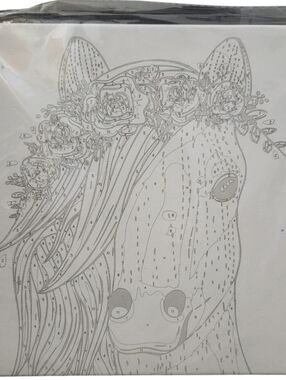 Paint By Numbers Canvas